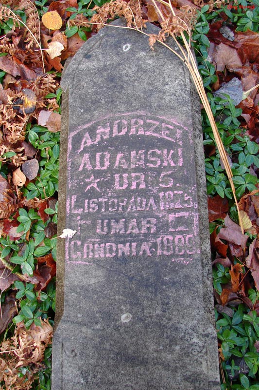 AdamskiAndrzei2005