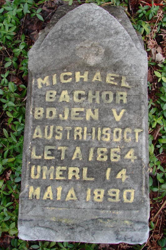 BachorMichael2006