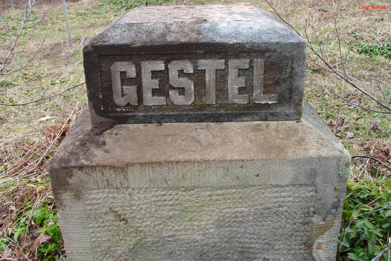 Gestel2006