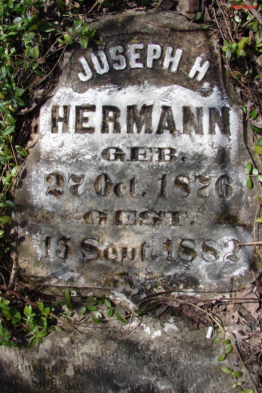 HermannJoseph2006