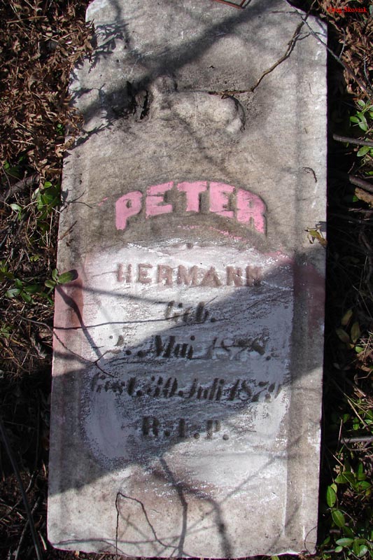 HermannPeter2006